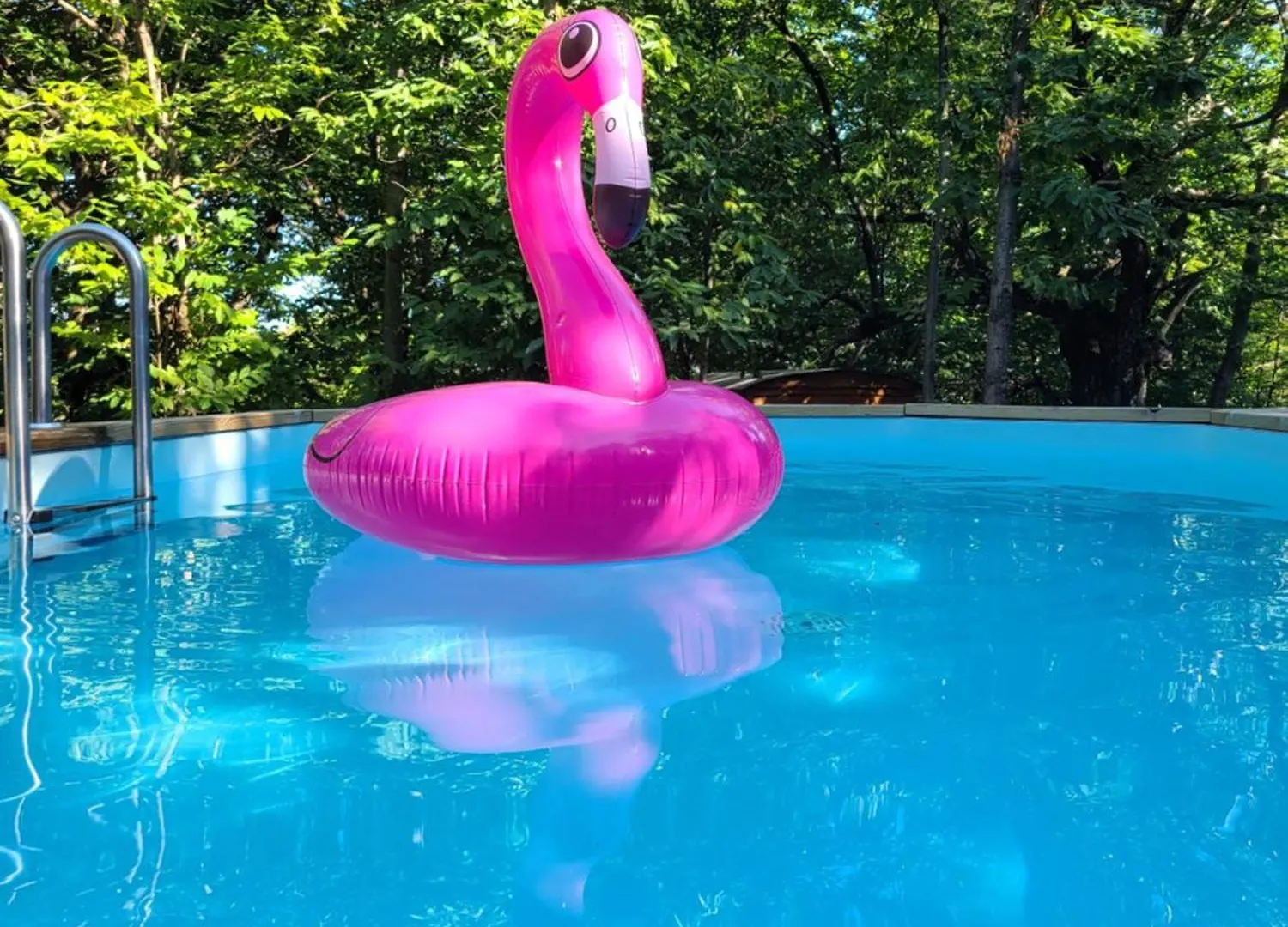 Gite Avec Piscine Et Terrain Valgorge ゲストハウス